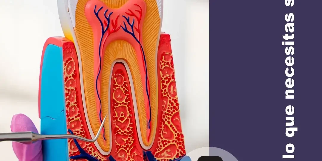 Endodoncia